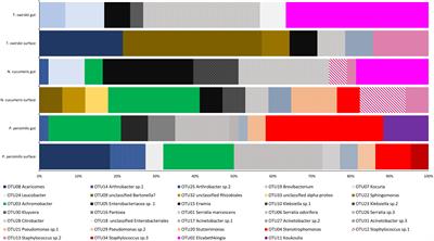 Bacterial microbiota of three commercially mass-reared predatory mite species (Mesostigmata: Phytoseiidae): pathogenic and beneficial interactions